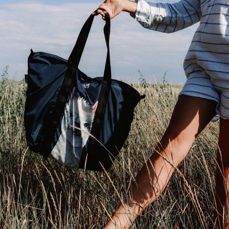 299308987_385370517055873_8567367836215795758_n (1) 299308987_385370517055873_8567367836215795758_n (1)